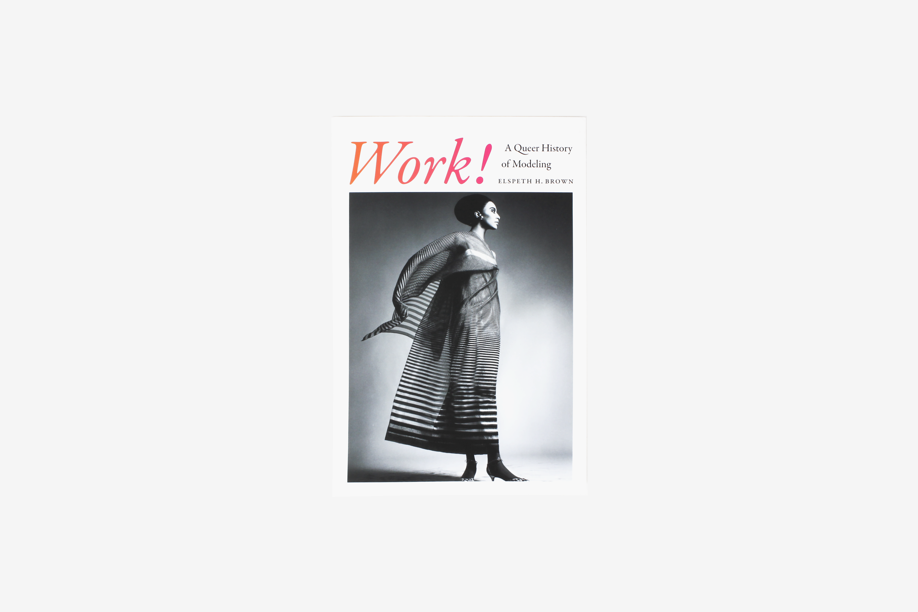 Work! A Queer History of Modeling